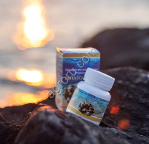 Корбикула порошок 1кг,