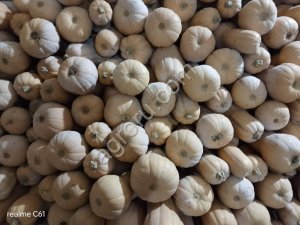 Тыква Матильда