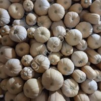 Тыква Матильда