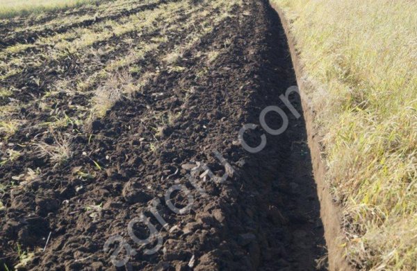 Лемешные плуги ПЛН-3-35, ПЛН-4-35, ПЛН-5-35, ПЛН-8-35, ПП-9-35