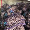 Картофель гала. Калибр от 3 до 5