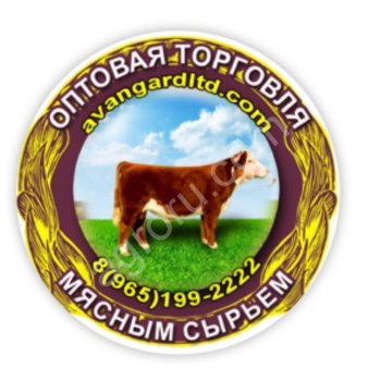 Вырезка говяжья