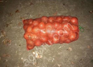 Лук