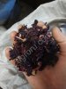 Гибискус крупнолистовой (Каркадэ)