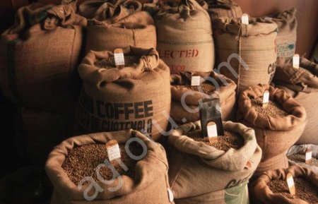 Кофе зерновой Премиального сегмента