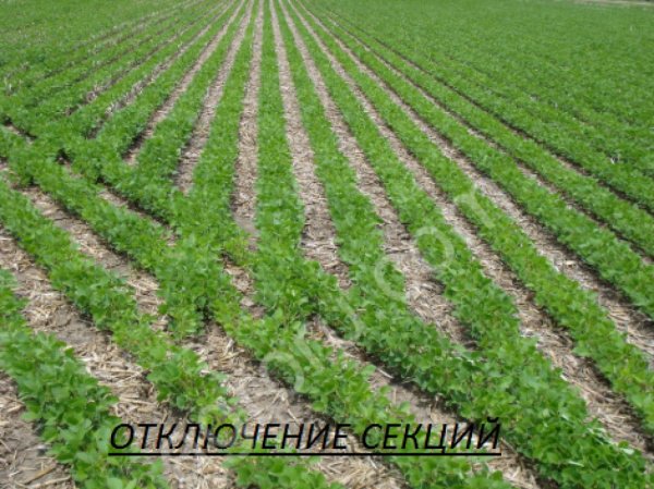 Trimble автоматическое вождение и точное земледелие