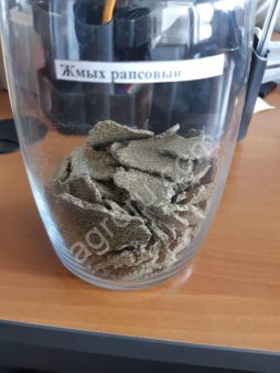 Жмых рапсовый 30-32%, 36-38%