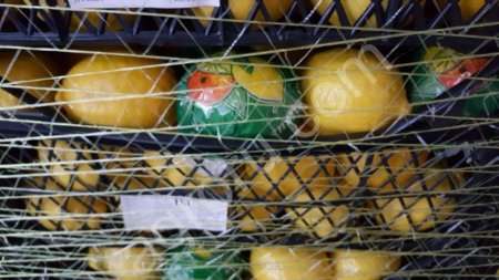 Лимон свежий, сорт Lamas