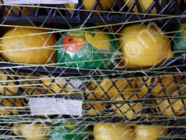 Лимон свежий, сорт Lamas