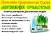 Домашняя чудо грядка Луковое Счастье для выращивания зелёного лука дома на подоконнике