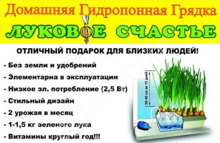 Домашняя чудо грядка Луковое Счастье для выращивания зелёного лука дома на подоконнике