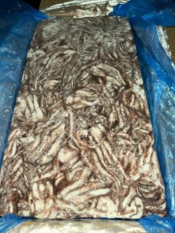 Щупальца кальмара команд. с/м