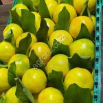Лимоны