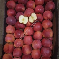 Яблоко свежее разных сортов