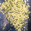 Овощерезка промышленная Vega Dicer H400 нарезка кубиками, бруском (фри)