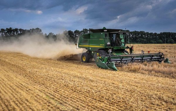 Краткий обзор рынка зерна