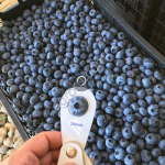 СВЕЖАЯ ГОЛУБИКА