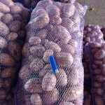 Картофель крупный