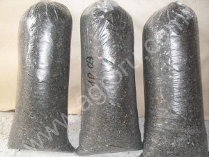 Грибные блоки Вешенка