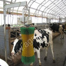 Чесалка автоматическая для КРС