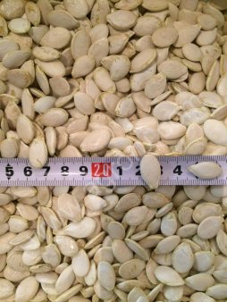 Семечки тыквенные