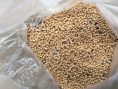 Горчица белая