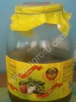 Огурцы консервированные