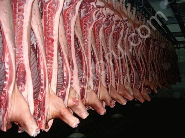 мясо свинины оптом.