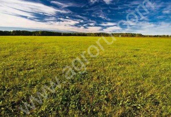 Черноземная сельскохозяйственная земля 1900 га