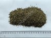 Мяты перечной листья 4-7 мм