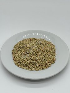 Фенхель