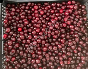 Вишня замороженная из Кыргызстана