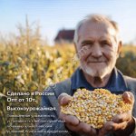 Семена кукурузы Машук 171 МВ F1 ФАО 170