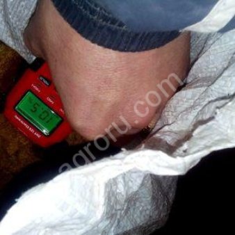 гриб чага сушеный