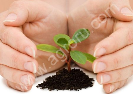 Средства защиты растений