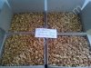 Грецкий орех Светлое Пшено