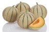 Дыня(Cantaloupe – Melissime)