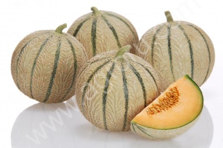 Дыня(Cantaloupe – Melissime)