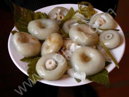 Грузди Засоленные