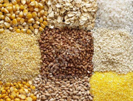 Крупы оптом