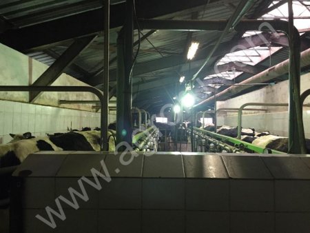 сельскохозяйственное предприятие