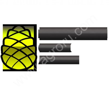 Кедровый орех оптом