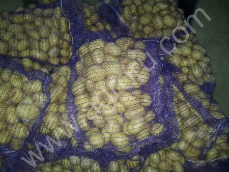 Картофель мытый шлифованный