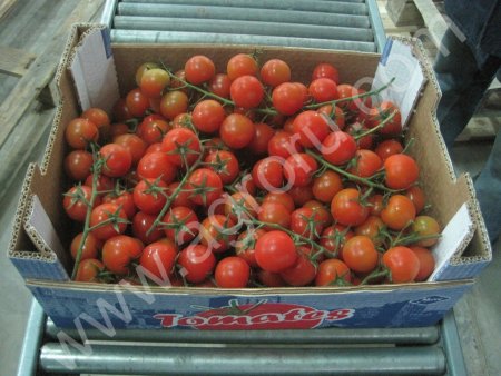 Помидоры крупным оптом
