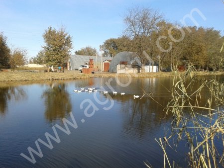 База Производственная