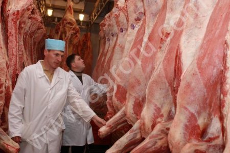 Говядина полутуши быки 1 категория
