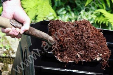 Перегной навоза КРС