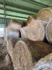 Сено в рулонах Люцерна