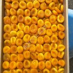 Курага (абрикос сушеный) разных сортов и калибров