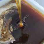 Мёд дягилевый